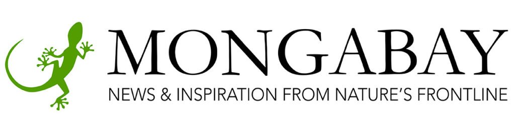 Mongabay